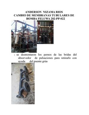 Cambio De Membranas Tubulares De Bomba Feluwa