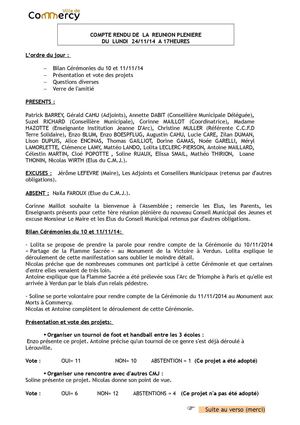 Compte-rendu réunion plénière CMJ du 24.11.2014