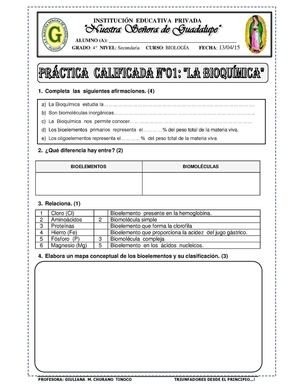 Guía 1 Bioquímica Bioelementos