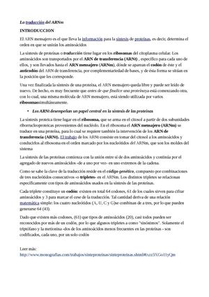 Sintesis Proteinas Práctica: Cálameo