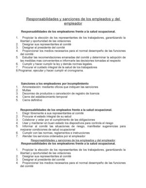 Responsabilidades Y Sanciones De Los Empleados Y Del Empleador