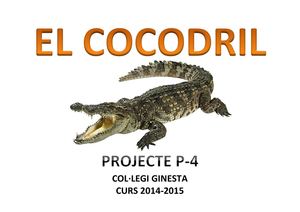Projecte Cocodril
