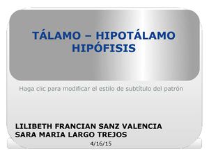 Tálamo – Hipotálamo Hipófisis