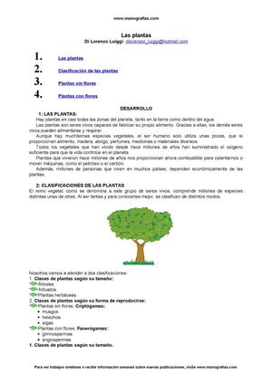 Clasificacion Plantas