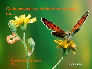 Mariposas