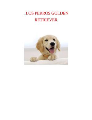 Los Perros Golden Retriever