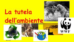 Tutela Dell'ambiente Martina S