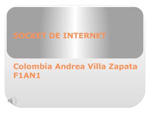 Socket De Internet