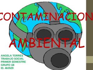 Presentacion Contaminacion Ambiental