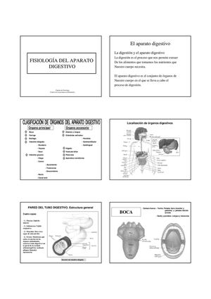Pdf Sistema Digestivo 1