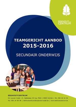 Brochure Teamgericht SO
