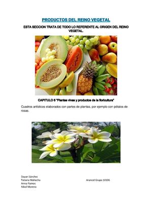 Productos Del Reino Vegetal