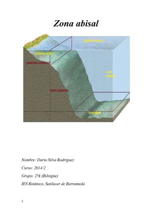 Llanura Abisal (Darío Silva)