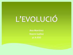 4A_NoemíGallisà_AnaMartínez_L'evolució