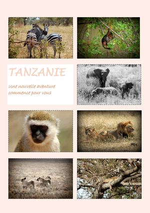 Brochure Tanzanie Pdf