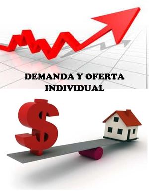 Demanda Y Oferta Individual