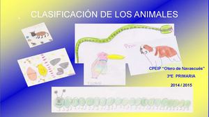 3E Primaria Clasificación Animales