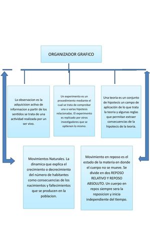 Organizador Grafico