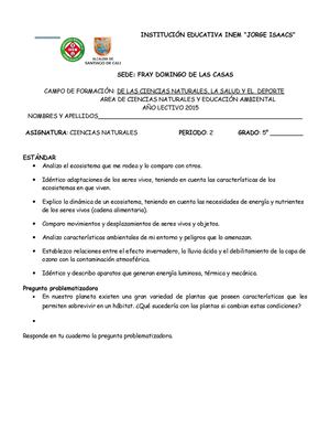 Guia 5 Segundo Periodo