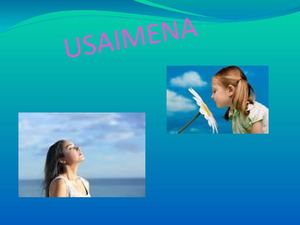 Usaimena