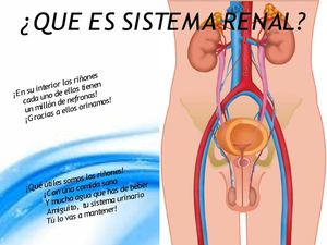 Nuevo Presentación De Microsoft Office Power Point