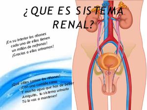 Nuevo Presentación De Microsoft Office Power Point