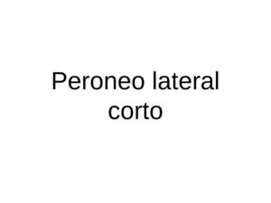 Trabajo Peroneo Lateral Corto