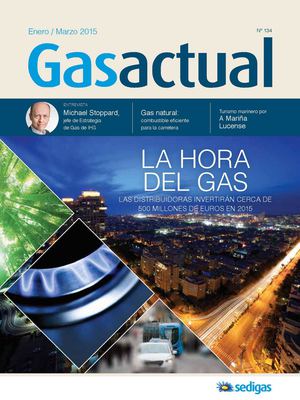 Gas Actual 134 (enero-marzo 2014)