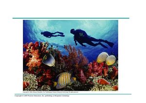 Generalidades del reino animal