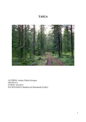 Taiga (Andrea Villalar Enriquez)