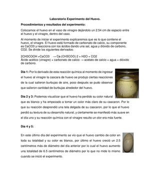 Experimento Del Huevo Amos