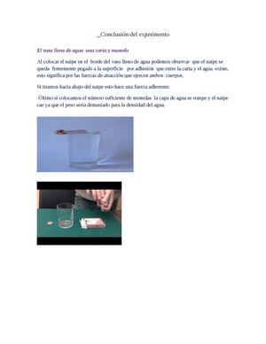Conclusión Del Experimento