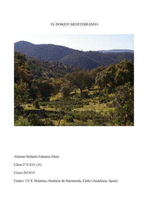 El bosque mediterráneo(Roberto Femenía Perez)