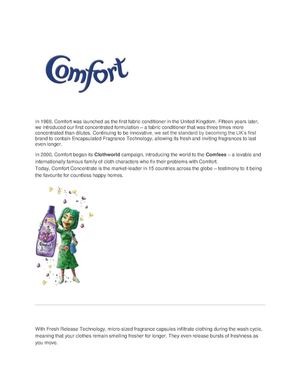 The History Of Comfort