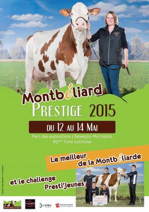 Catalogue Montbéliard Prestige 2015