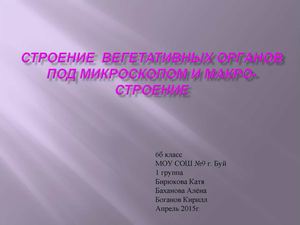 Строение вегетативных органов под микроскопом и макро строение