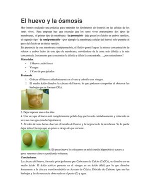 tarea 2 El Huevo Y La