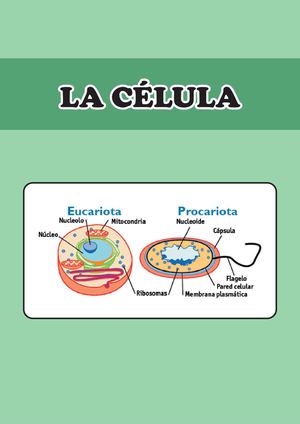 La Célula