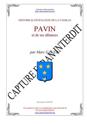 Pavin de La Farge