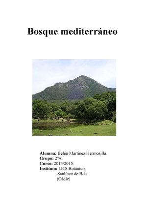 Bosque Mediterráneo (Belén Martínez)