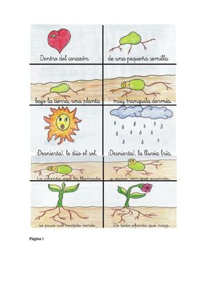 Historia De Una Planta