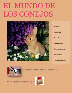El Mundo De Los Conejos
