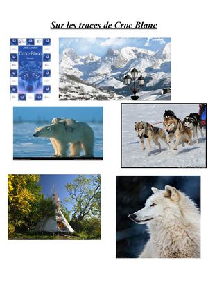 Sur les traces de Croc-Blanc