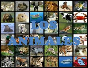 Los animales 4