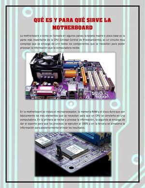 LA MOTHER BOARD