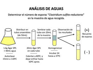 Recuento De Esporas Clostridum Sulfito Reductoras