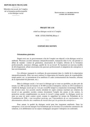 Projet De Loi Relatif Au Dialogue Social Et à L'emploi