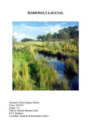 Marisma(rocío raposo)