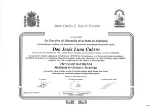 Título Bachillerato Ciencias Tecnológicas
