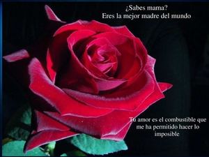 Dia De La Madre